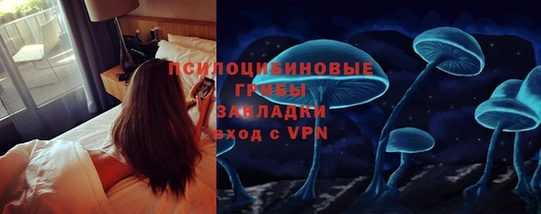 гидра Лиски
