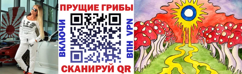 Галлюциногенные грибы Psilocybine cubensis  сколько стоит  Малгобек 